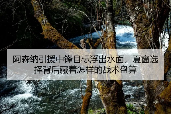 阿森纳引援中锋目标浮出水面，夏窗选择背后藏着怎样的战术盘算